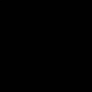 Meet your Posher, Leon